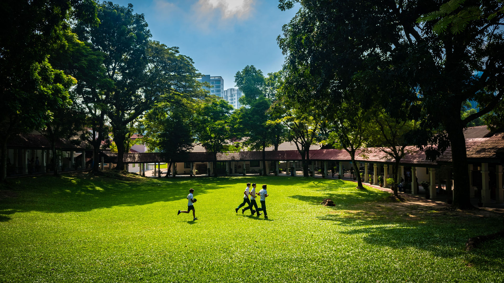 Campus Background